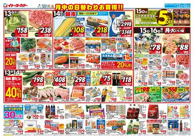 6/13(土)~6/16(火) 月中の日替わりお買得!!