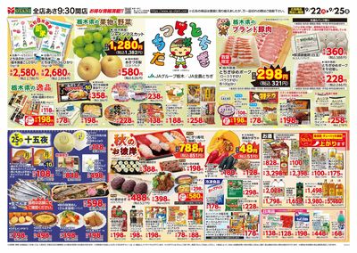 たちつてとちぎフェア