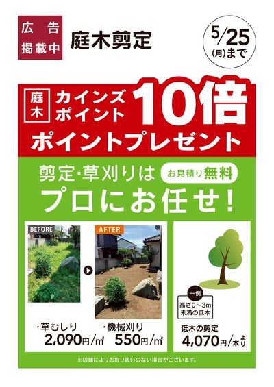 庭木剪定