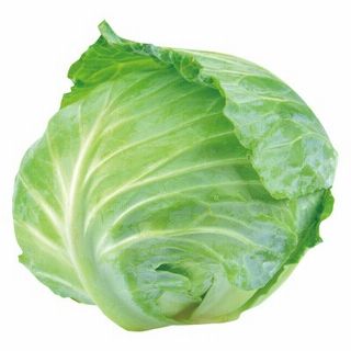 キャベツ