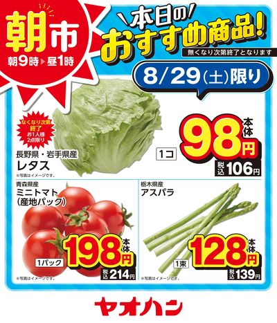 本日のおすすめ商品!
