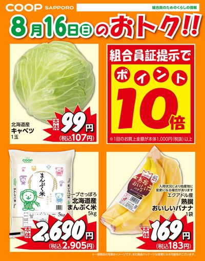 8月16日お買得品