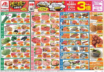 6月17日開始チラシ:表