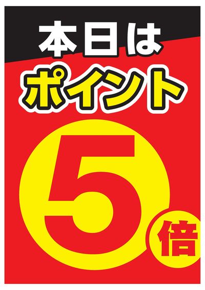 ポイント5倍デー