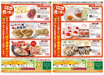 今月の見て見て