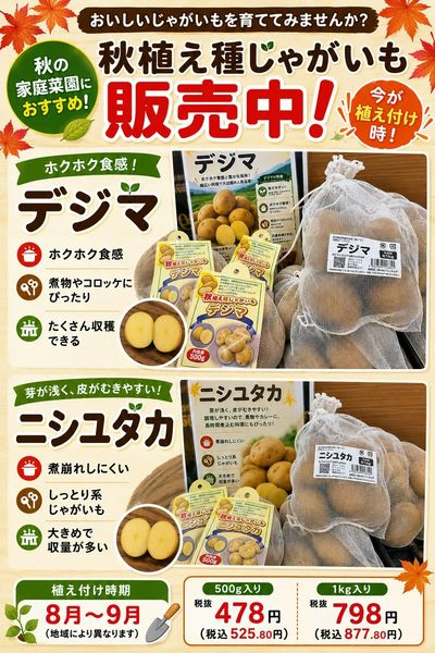ムサシ須坂店おススメ情報!