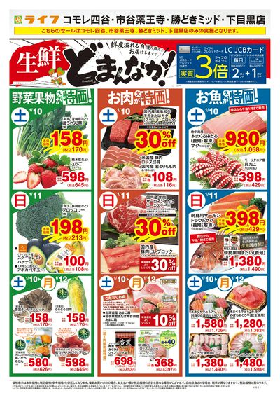 1/10号 生鮮どまんなか!