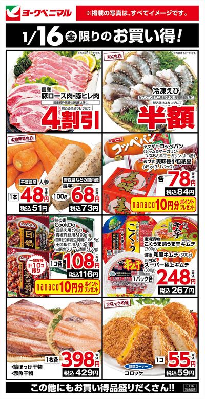 1/16限りのお買い得!