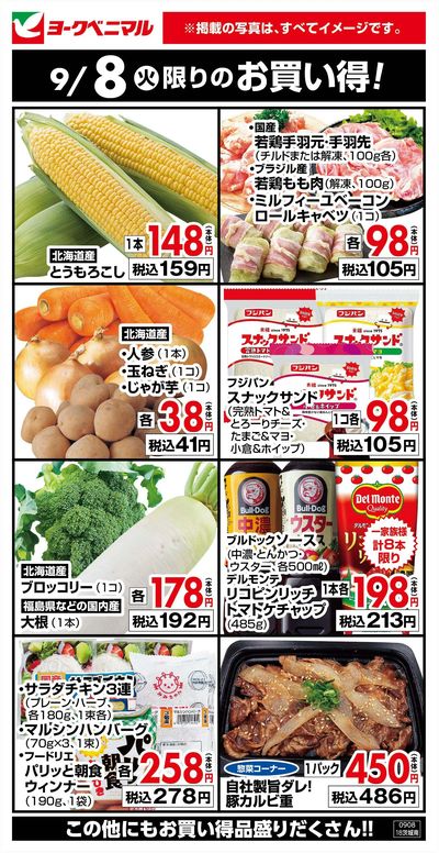 9/8限りのお買い得!