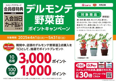 デルモンテ野菜苗 ポイントキャンペーン