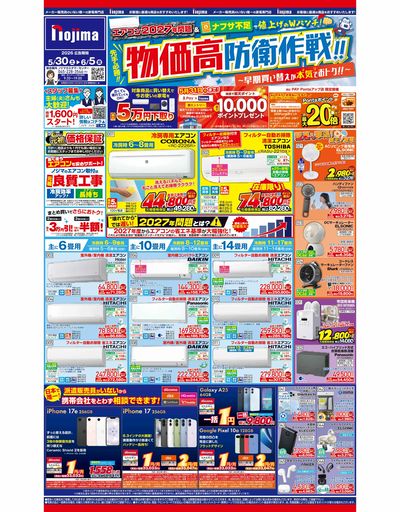 全店チラシ