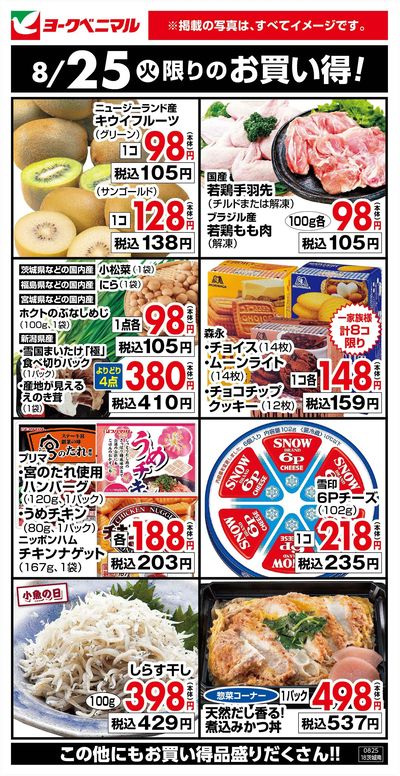 8/25限りのお買い得!
