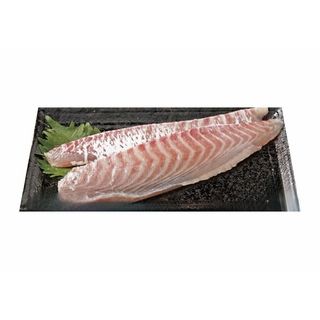 伊勢真鯛(養殖)刺身用