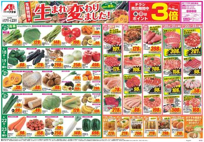6月17日開始チラシ:表