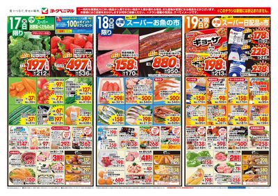 2/17号 オモテ
