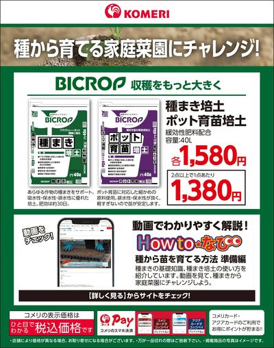 種から育てる家庭菜園にチャレンジ!