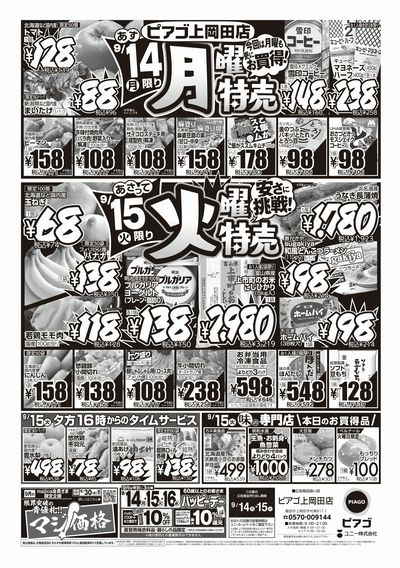 9月14日(月)~9月15日(火)