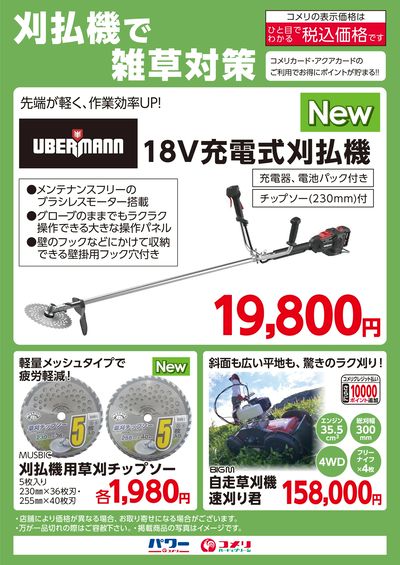 刈払機で雑草対策