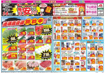 6月10日開始チラシ:表