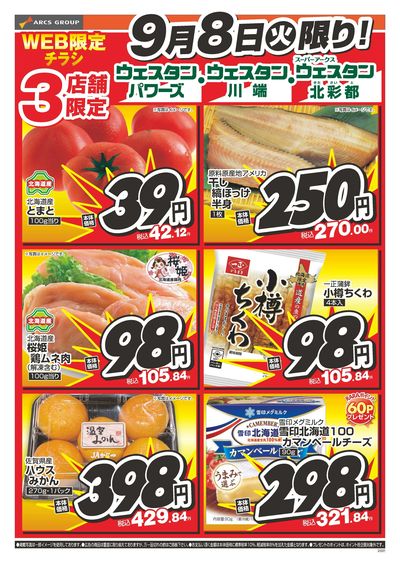 9/8日 WEB限定チラシ