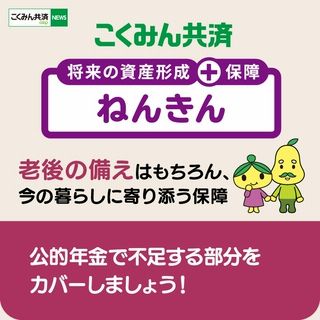 ねんきん共済