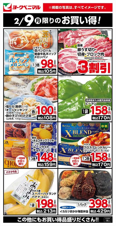 2/9限りのお買い得!