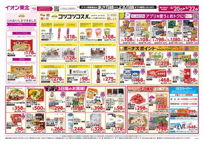 トップバリュ特集・お客さま感謝デー オモテ