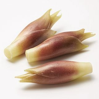 みょうが