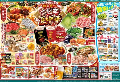8/15号夏中華