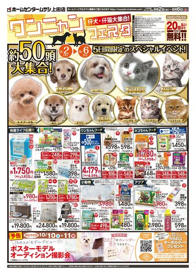 9月2日号チラシ 表面