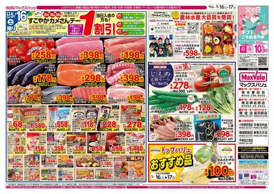5/16号 カメさんデー/涼味まつり:オモテ