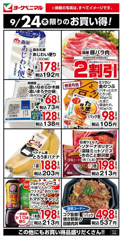 9/24限りのお買い得!