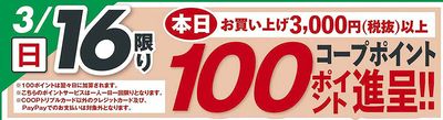 日替わり企画