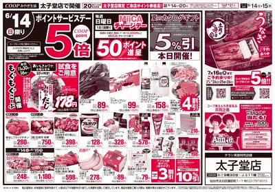 特別企画 おもて