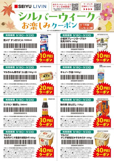 0918シルバーウィーククーポンチラシ1