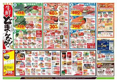 12/13号 生鮮どまんなか!