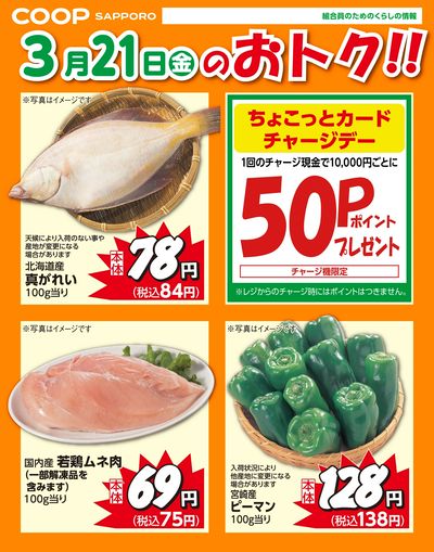 3月21日お買得品