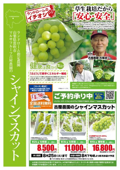 7月古屋農園のシャインマスカット