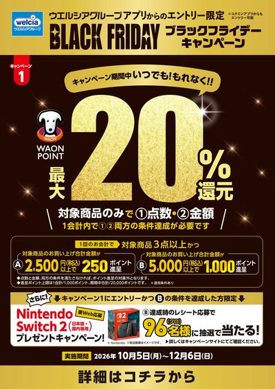 ブラックフライデーキャンペーン実施!