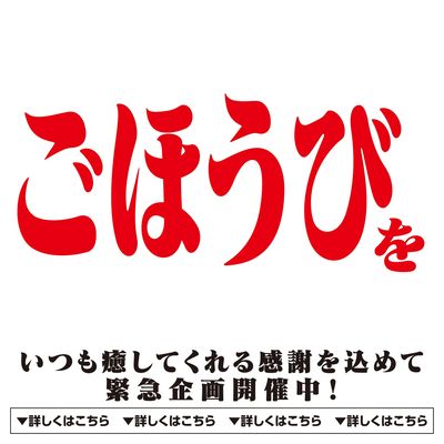 いつも癒してくれる感謝を込めて 緊急企画開催中!