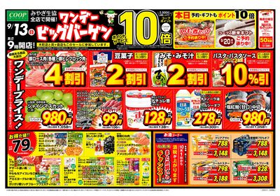 ワンデービッグバーゲン オモテ