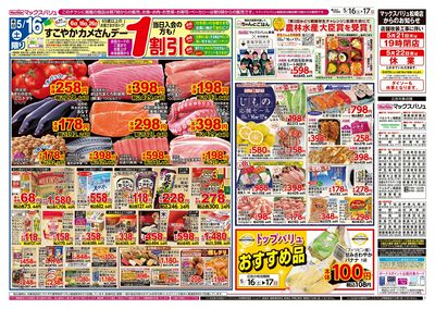 5/16号 カメさんデー/涼味まつり:オモテ