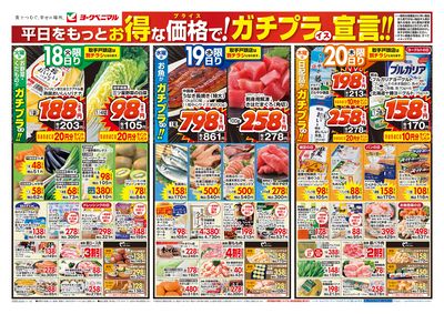 11/18号 オモテ