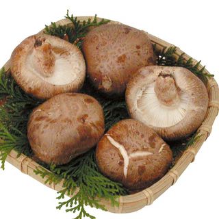 国内産 生椎茸 1パック