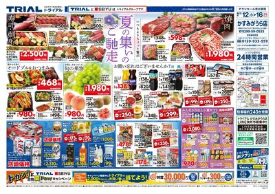 トライアルかすみがうら市店_表