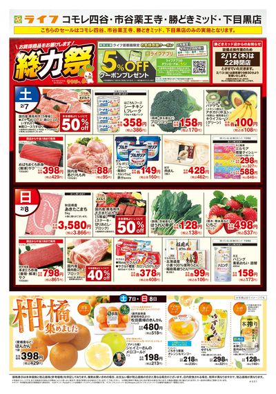 2/7号 総力祭/柑橘集めました