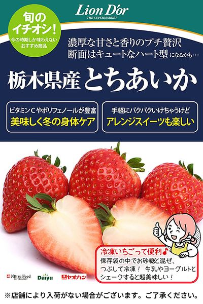 リオン・ドールのおいしさ宣言!