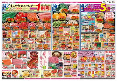 3/6号 イオン100周年記念特別価格/カメさんデー/春のごはん丼まつり:ウラ