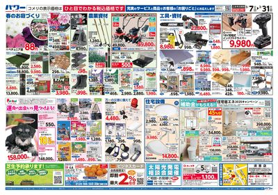 コメリパワー 3/7号 決算市 ウラ