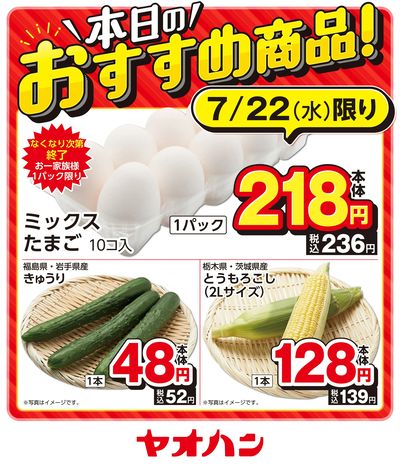 本日のおすすめ商品!